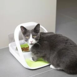 Distributeur électronique SureFeed Connect -Promos Wanimo Boutique distributeur electronique surefeed connect sure petcare 6