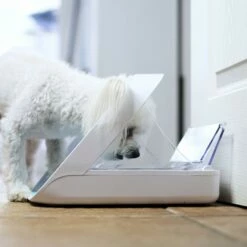 Distributeur électronique SureFeed -Promos Wanimo Boutique distributeur electronique surefeed sure petcare 9