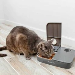 PetSafe Distributeur Mécanique 2 Repas -Promos Wanimo Boutique distributeur mecanique repas petsafe 2