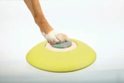 Trixie Distributeur Memory Trainer 3.0 -Promos Wanimo Boutique distributeur memory trainer trixie 4