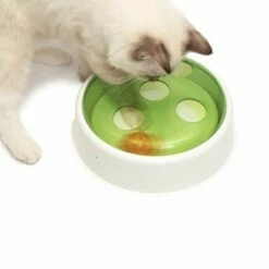 Dôme Senses 2.0 -Promos Wanimo Boutique dome senses cat it 2