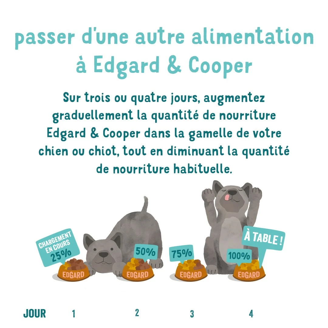 Edgard & Cooper, Alléchant Saumon Norvégien Pour Chien 8 Edgard & Cooper, Alléchant Saumon Norvégien Pour Chien – Image 8