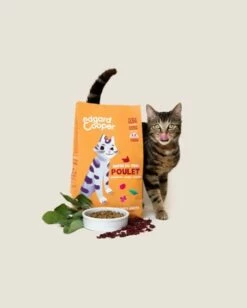 Edgard & Cooper Croquettes Croustillantes Au Poulet - Croquettes Pour Chat Adulte -Promos Wanimo Boutique edgard cooper croquettes croustillantes au poulet croquettes pour chat adulte 1 2