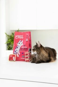 Edgard & Cooper Croquettes Croustillantes Au Poulet Et à La Dinde - Croquettes Pour Chat Senior -Promos Wanimo Boutique edgard cooper croquettes croustillantes au poulet et a la dinde croquettes pour chat senior 1 2