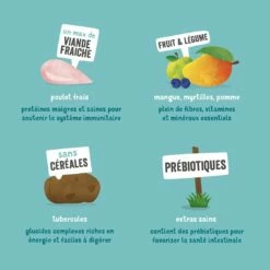 Edgard & Cooper Croquettes Succulent Poulet Pour Chien 14 Edgard & Cooper Croquettes Succulent Poulet Pour Chien -Promos Wanimo Boutique edgard cooper croquettes succulent poulet pour chien adulte poulet frais sans cereales 5