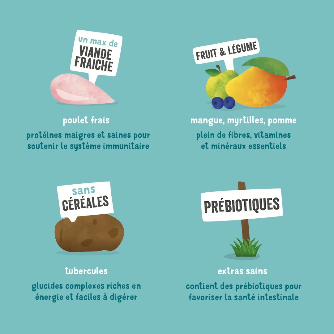 Edgard & Cooper Croquettes Succulent Poulet Pour Chien 6 Edgard & Cooper Croquettes Succulent Poulet Pour Chien – Image 6