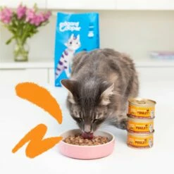 Edgard & Cooper Morceaux En Sauce – Pâtée Pour Chat Adulte -Promos Wanimo Boutique edgard cooper morceaux en sauce patee pour chat adulte 1 10