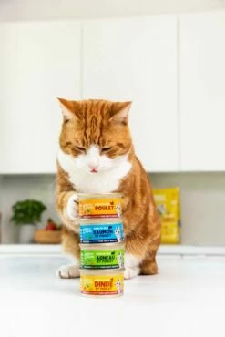 Edgard & Cooper Morceaux En Sauce – Pâtée Pour Chat Adulte -Promos Wanimo Boutique edgard cooper morceaux en sauce patee pour chat adulte 1 2