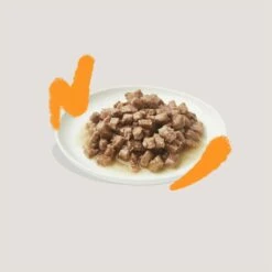 Edgard & Cooper Morceaux En Sauce – Pâtée Pour Chat Adulte -Promos Wanimo Boutique edgard cooper morceaux en sauce patee pour chat adulte 1 9