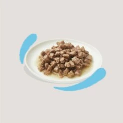 Edgard & Cooper Morceaux En Sauce – Pâtée Pour Chaton -Promos Wanimo Boutique edgard cooper morceaux en sauce patee pour chaton 1 7