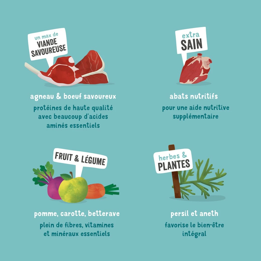 Edgard & Cooper, Pâtée En Barquette Pour Chien Adulte - 11 X 150 G 4 Edgard & Cooper, Pâtée En Barquette Pour Chien Adulte - 11 X 150 G – Image 4