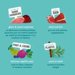 Edgard & Cooper, Pâtée En Barquette Pour Chien Adulte - 11 X 150 G 17 Edgard & Cooper, Pâtée En Barquette Pour Chien Adulte - 11 X 150 G -Promos Wanimo Boutique edgard cooper patee en barquette pour chien adulte x g patee sans cereales adulte 6