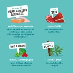 Edgard & Cooper, Pâtée En Barquettes Pour Chien Sénior -Promos Wanimo Boutique edgard cooper patee en barquettes pour chien senior patee sans cereales senior 2