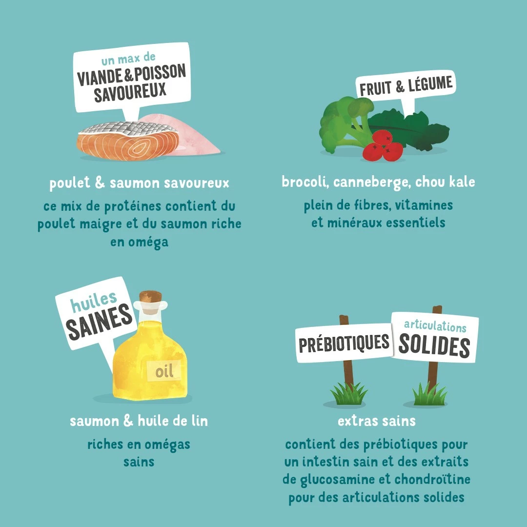 Edgard & Cooper, Pâtée En Boîtes Pour Chien Sénior 3 Edgard & Cooper, Pâtée En Boîtes Pour Chien Sénior – Image 3