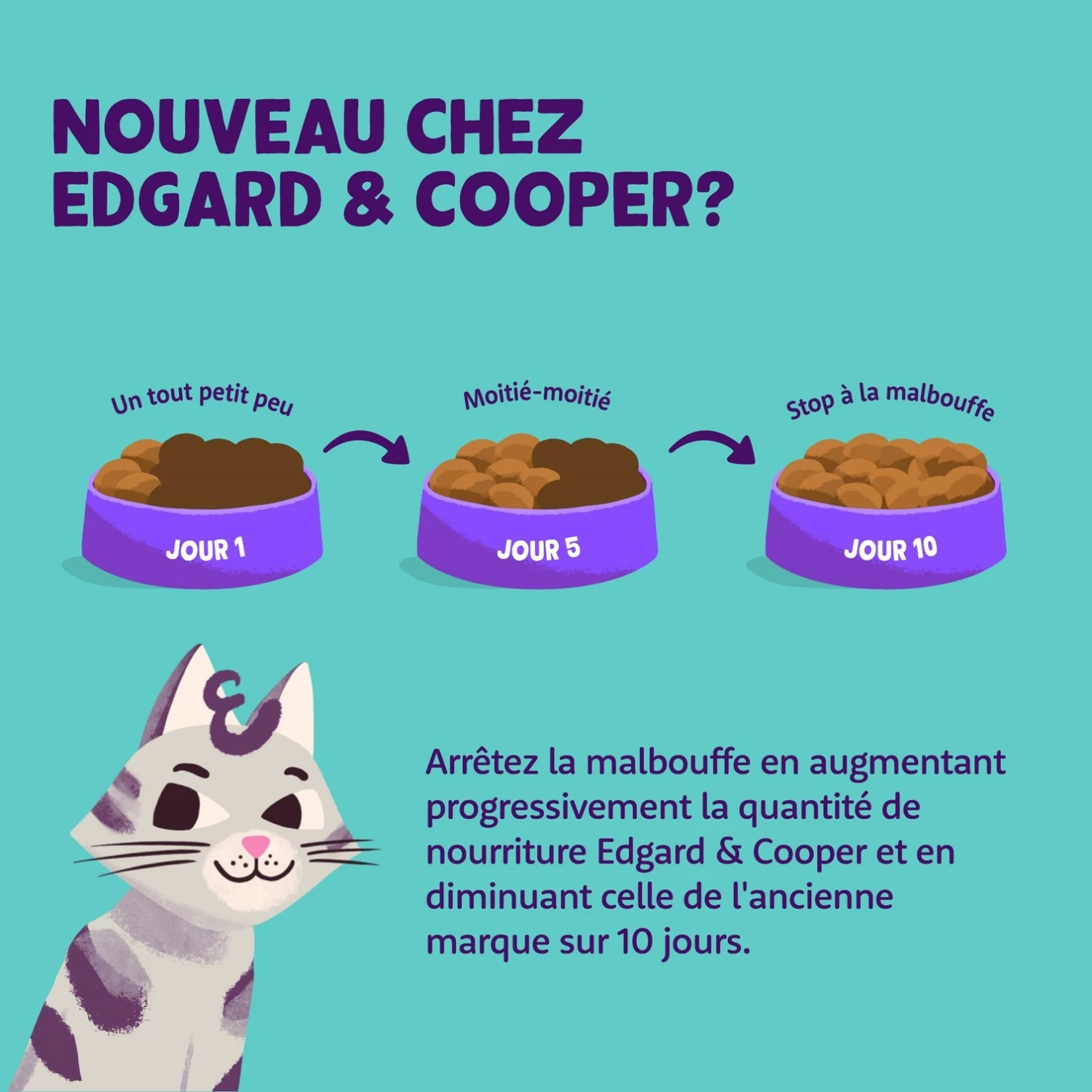 Edgard & Cooper Pâtée Moelleuse – Pâtée Pour Chat Senior 5 Edgard & Cooper Pâtée Moelleuse – Pâtée Pour Chat Senior – Image 5