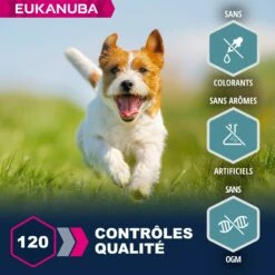Eukanuba Adult Small & Medium Breed - Saumon Et Orge -Promos Wanimo Boutique eukanuba adult small medium breed saumon et orge 1 4
