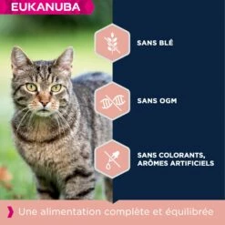 Eukanuba Adult 7+ Top Condition -Promos Wanimo Boutique eukanuba adult top condition 1 10
