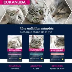 Eukanuba Adult 7+ Top Condition -Promos Wanimo Boutique eukanuba adult top condition 1 14