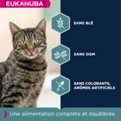 Eukanuba Adult 1+ Top Condition -Promos Wanimo Boutique eukanuba adult top condition 1 2