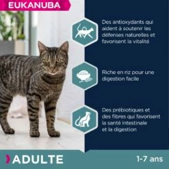 Eukanuba Adult 1+ Top Condition -Promos Wanimo Boutique eukanuba adult top condition 1 4