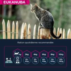 Eukanuba Adult 1+ Top Condition -Promos Wanimo Boutique eukanuba adult top condition 1 5