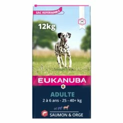 Eukanuba Adulte Large Breed - Saumon Et Orge