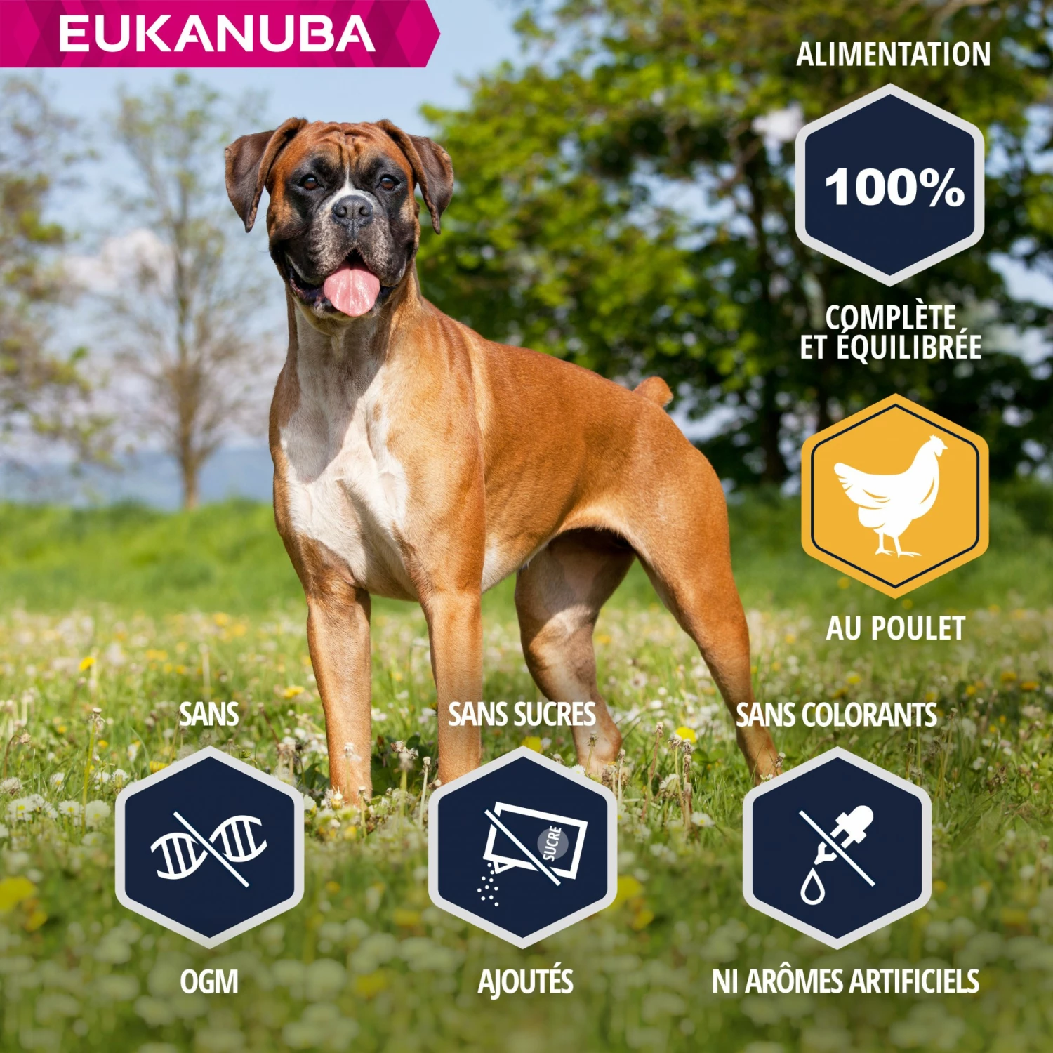 Eukanuba Breed Specific Boxer 3 Eukanuba Breed Specific Boxer – Image 3