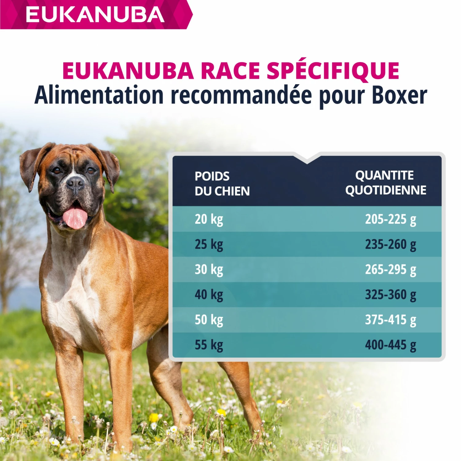 Eukanuba Breed Specific Boxer 7 Eukanuba Breed Specific Boxer – Image 7
