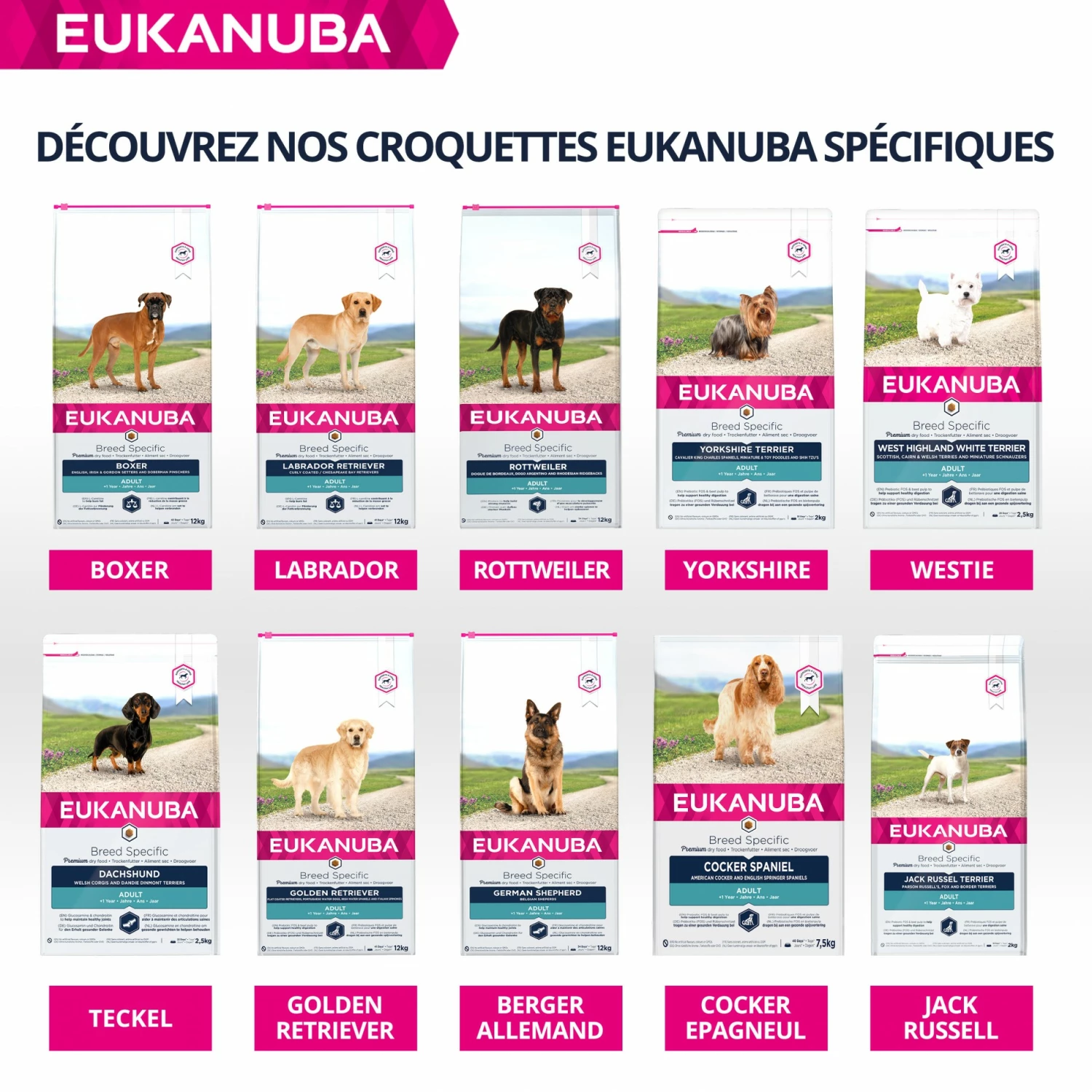 Eukanuba Breed Specific Boxer 8 Eukanuba Breed Specific Boxer – Image 8