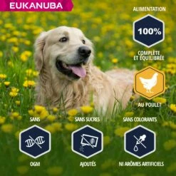 Eukanuba Breed Specific Golden Retriever 10 Eukanuba Breed Specific Golden Retriever -Promos Wanimo Boutique eukanuba breed specific golden retriever 1 2