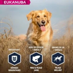 Eukanuba Breed Specific Golden Retriever 13 Eukanuba Breed Specific Golden Retriever -Promos Wanimo Boutique eukanuba breed specific golden retriever 1 5