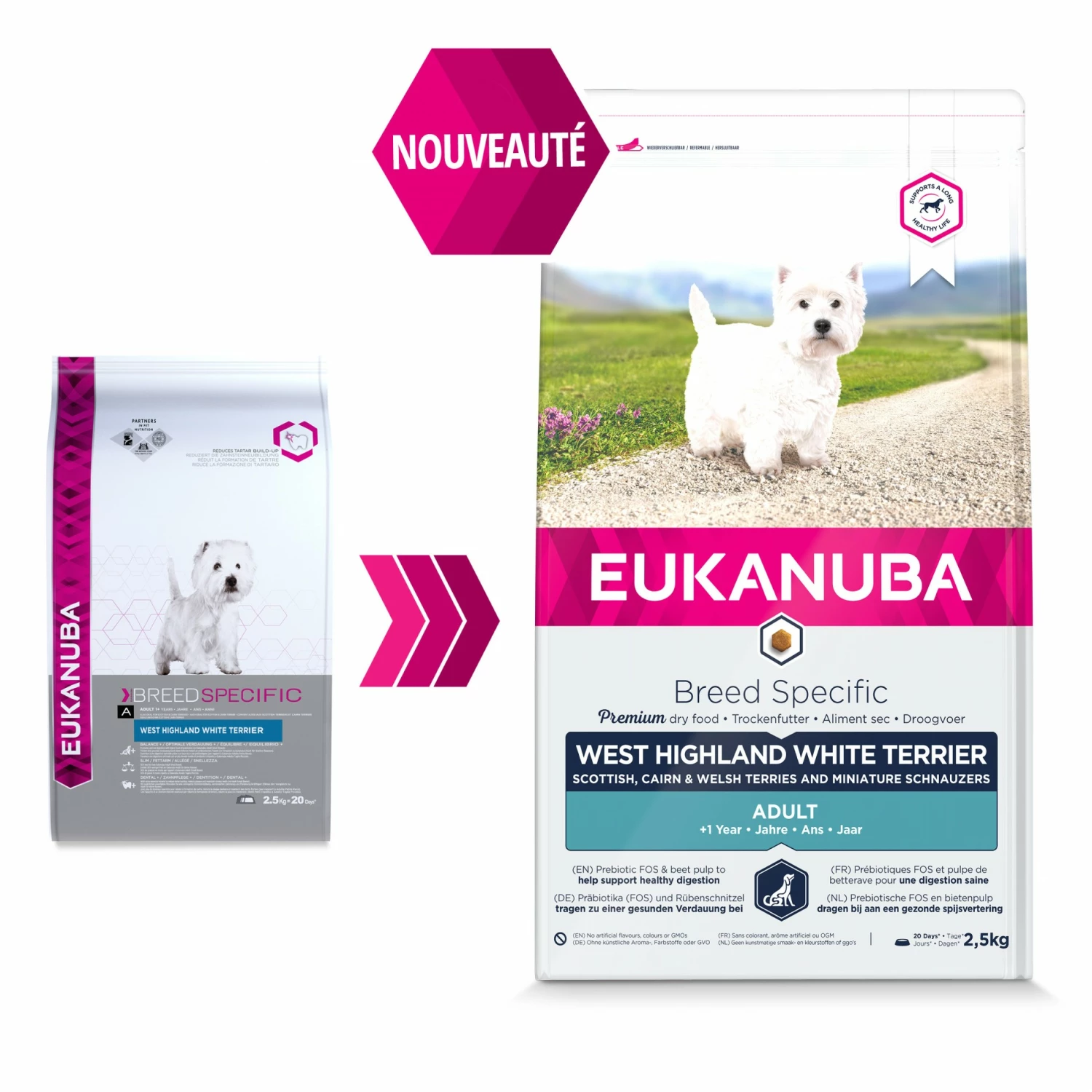 Eukanuba Breed Specific West Highland White Terriers 2 Eukanuba Breed Specific West Highland White Terriers – Image 2