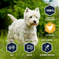 Eukanuba Breed Specific West Highland White Terriers 11 Eukanuba Breed Specific West Highland White Terriers -Promos Wanimo Boutique eukanuba breed specific west highland white terriers 1 2