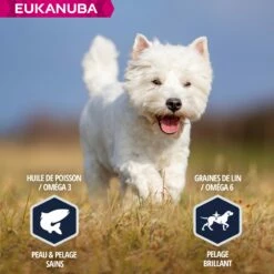 Eukanuba Breed Specific West Highland White Terriers 14 Eukanuba Breed Specific West Highland White Terriers -Promos Wanimo Boutique eukanuba breed specific west highland white terriers 1 5