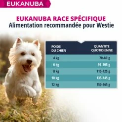 Eukanuba Breed Specific West Highland White Terriers 15 Eukanuba Breed Specific West Highland White Terriers -Promos Wanimo Boutique eukanuba breed specific west highland white terriers 1 6