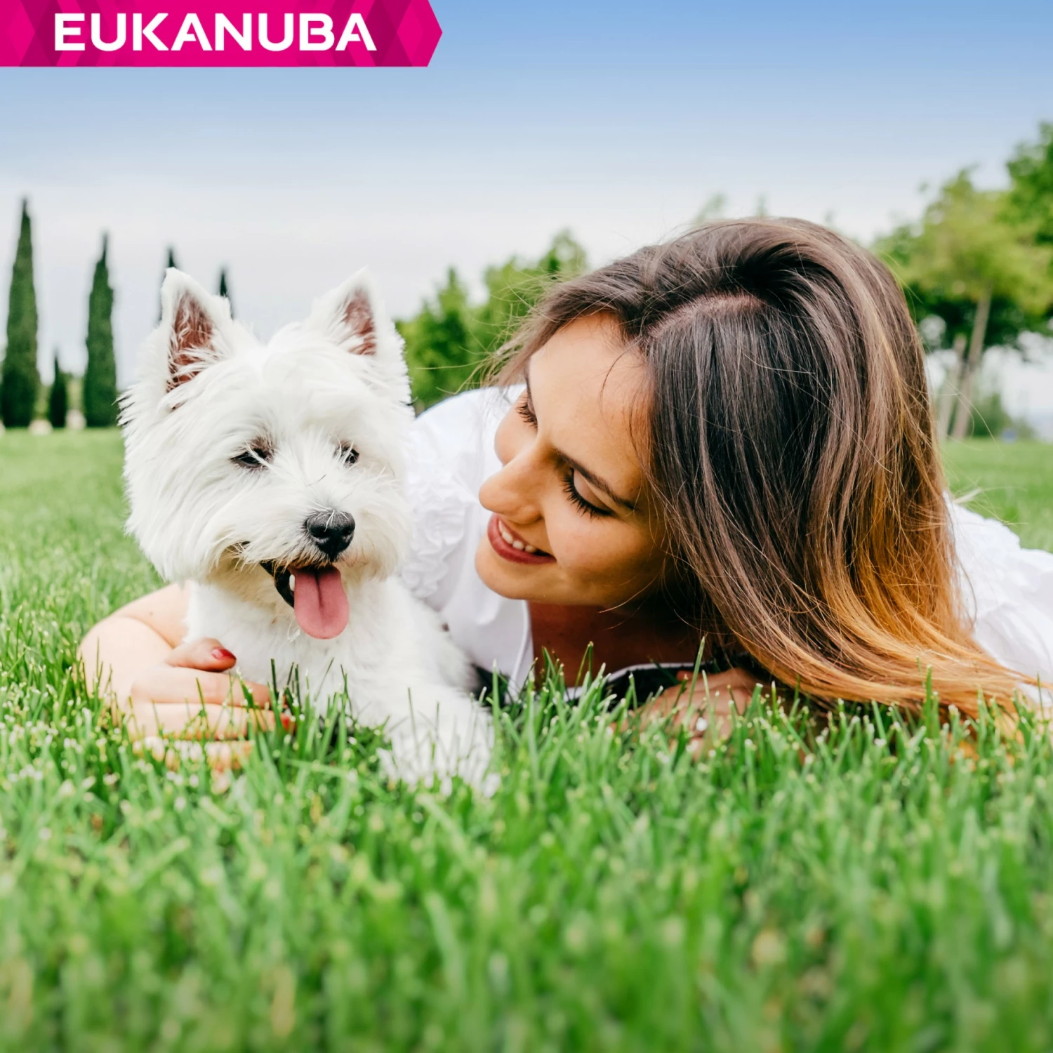 Eukanuba Breed Specific West Highland White Terriers 9 Eukanuba Breed Specific West Highland White Terriers – Image 9