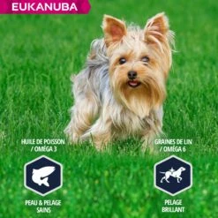 Eukanuba Breed Specific Yorkshire Terrier -Promos Wanimo Boutique eukanuba breed specific yorkshire terrier 1 5