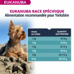Eukanuba Breed Specific Yorkshire Terrier -Promos Wanimo Boutique eukanuba breed specific yorkshire terrier 1 6