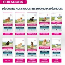 Eukanuba Breed Specific Yorkshire Terrier -Promos Wanimo Boutique eukanuba breed specific yorkshire terrier 1 7