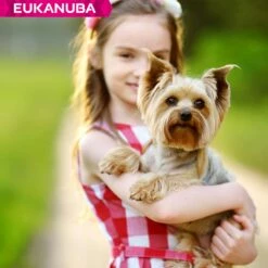 Eukanuba Breed Specific Yorkshire Terrier -Promos Wanimo Boutique eukanuba breed specific yorkshire terrier 1 8