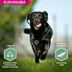 Eukanuba Daily Care Sensitive Joints -Promos Wanimo Boutique eukanuba daily care sensitive joints 1 2