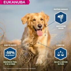 Eukanuba Daily Care Sterilized & Overweight -Promos Wanimo Boutique eukanuba daily care sterilized overweight 1 2