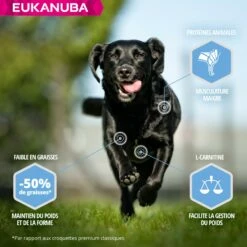 Eukanuba Daily Care Weight Control Large Breed -Promos Wanimo Boutique eukanuba daily care weight control large breed 1 2