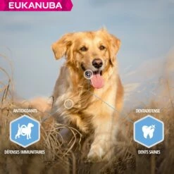 Eukanuba Daily Care Weight Control Large Breed -Promos Wanimo Boutique eukanuba daily care weight control large breed 1 4