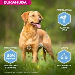 Eukanuba Daily Care Weight Control Small & Medium Breed -Promos Wanimo Boutique eukanuba daily care weight control small medium breed 1 2