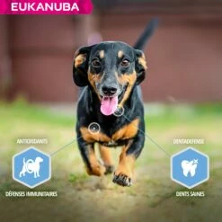 Eukanuba Daily Care Weight Control Small & Medium Breed -Promos Wanimo Boutique eukanuba daily care weight control small medium breed 1 4