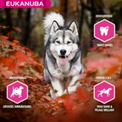 Eukanuba Daily Care Working & Endurance -Promos Wanimo Boutique eukanuba daily care working endurance 1 4