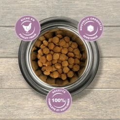 Eukanuba Growing Puppy Medium Breed - Poulet -Promos Wanimo Boutique eukanuba growing puppy medium breed poulet 1 3