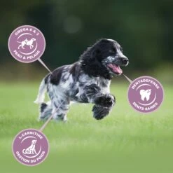 Eukanuba Growing Puppy Medium Breed - Poulet -Promos Wanimo Boutique eukanuba growing puppy medium breed poulet 1 4