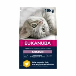 Eukanuba Kitten